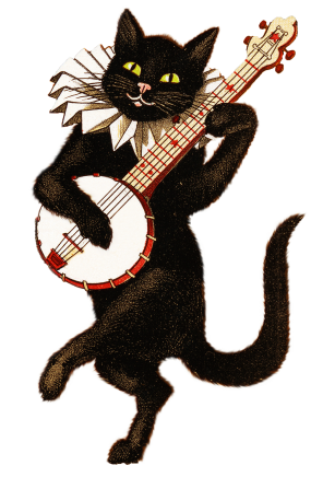 Quirky funny song adaptations; cat banjo